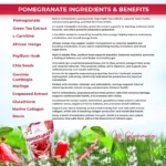 Glowming Shape Pomegranate Power Drink Mix - Image 2