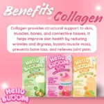Hello Bloom Gleam Collagen Drinks (Choose a Flavor)