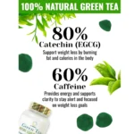 Dr. Pinoca Green Tea Nature Lean Gummies – 60 Gummies - Image 3