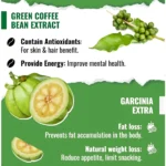 Dr. Pinoca Green Tea Nature Lean Gummies – 60 Gummies - Image 4