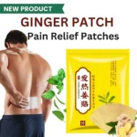 FAREJIANGTIE Pain Relief Ginger Patches - 100pc - Image 3