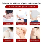 FAREJIANGTIE Pain Relief Ginger Patches - 100pc - Image 4