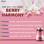 Elicare Berry Harmony Women's Wellness - Image 2