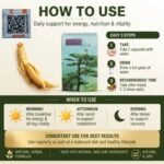 Ginseng Kianpi Pil – Premium Herbal Supplement in UAE - Image 6