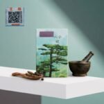 Ginseng Kianpi Pil – Premium Herbal Supplement in UAE - Image 3
