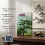 Ginseng Kianpi Pil – Premium Herbal Supplement in UAE - Image 9